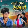 About Tari Vaat Mali Chhe Sagai Bije Kari Chhe Song